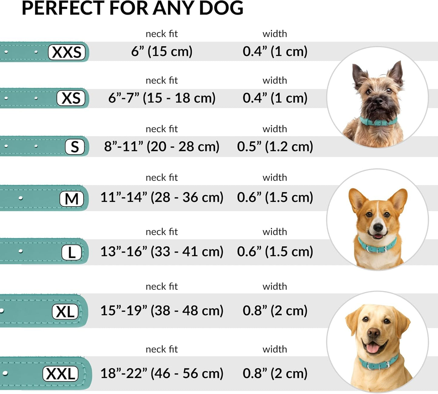 CollarDirect Rolled Leather Dog Collar, Soft Padded Round Puppy Collar, Handmade Genuine Leather Collar Dog Small Large Cat Collars 13 Colors (13-16 Inch, Mint Green Textured)