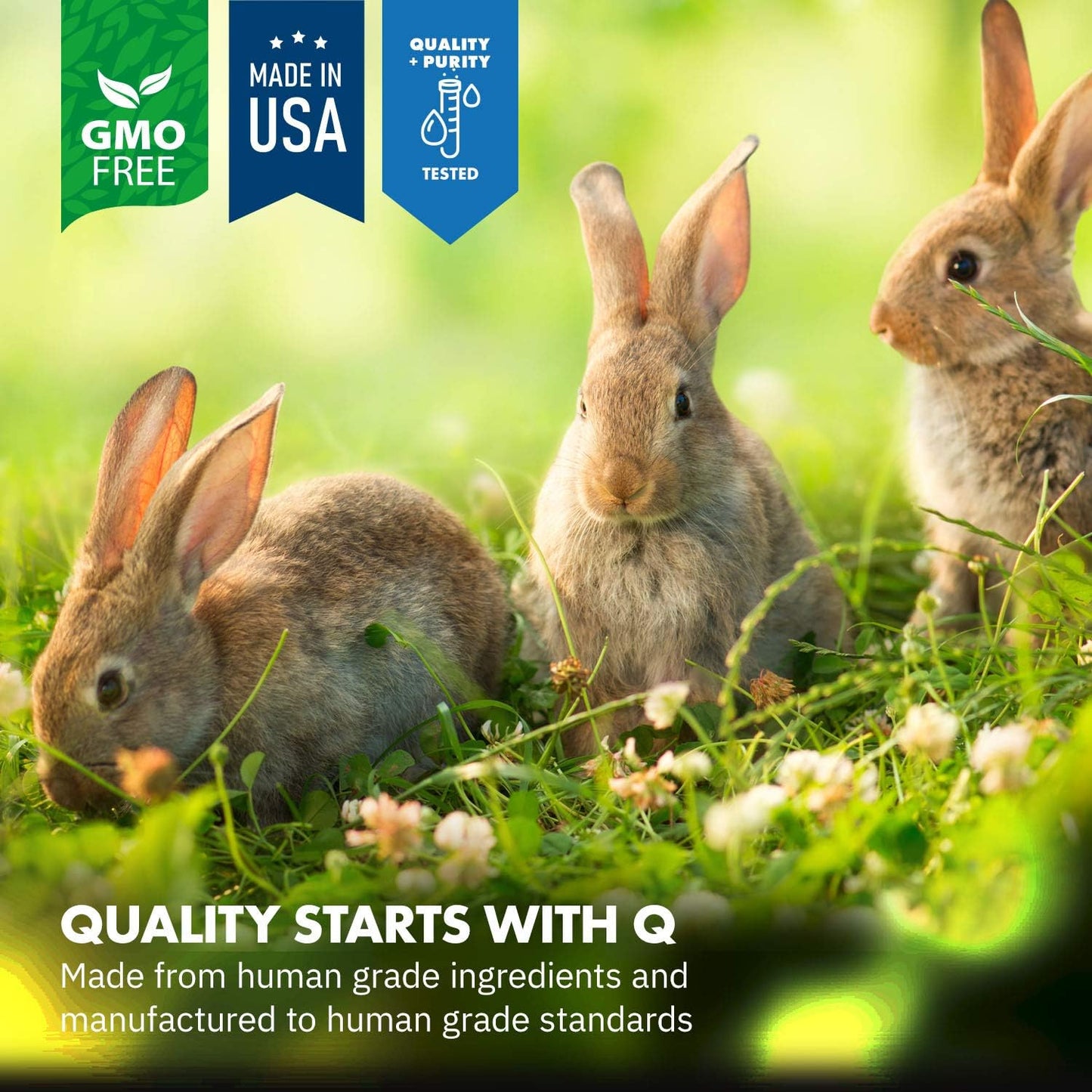 HealthyGut Probiotics for Rabbits Dietary Supplement, All-Natural Digestive System Formula (120 Servings)