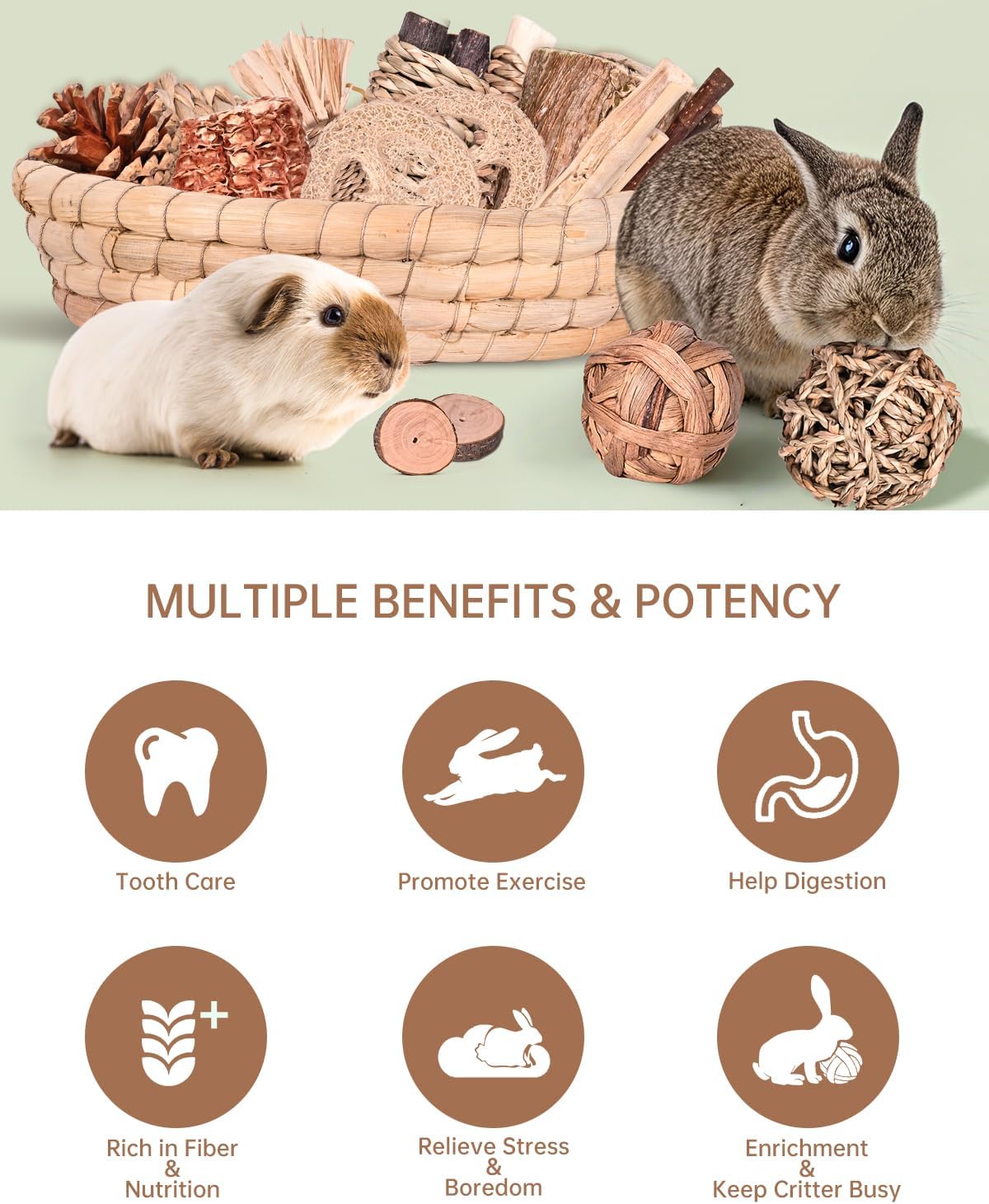 31PCS Rabbit Chew Treat Toys for Teeth Health, Natural Bunny Enrichment Toys for Boredom & Stress Relief, Keep Busy Toys for Guinea Pig Chinchilla Hamster Rat Gerbil Degu Indoor Outdoor