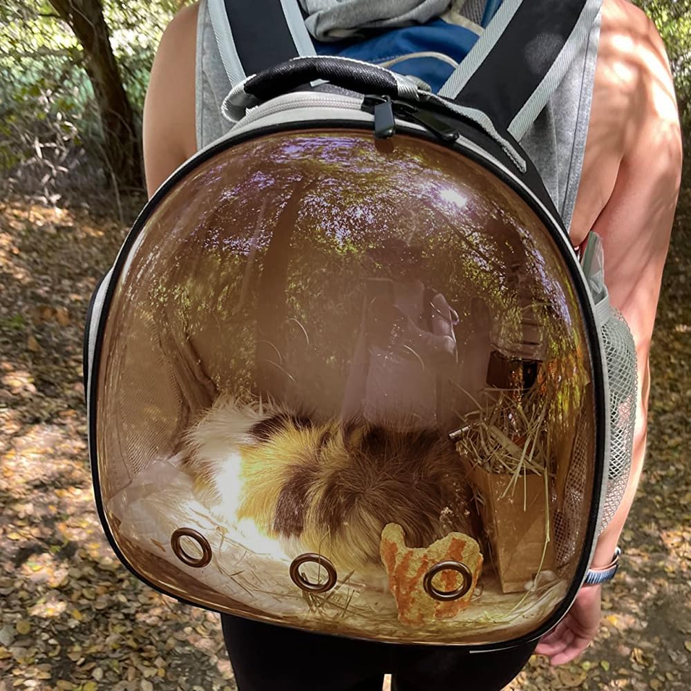 Guinea Pig Carrier, Guinea Pig Backpack with Clear Bubble Window (Black-Polarize, Backpack)