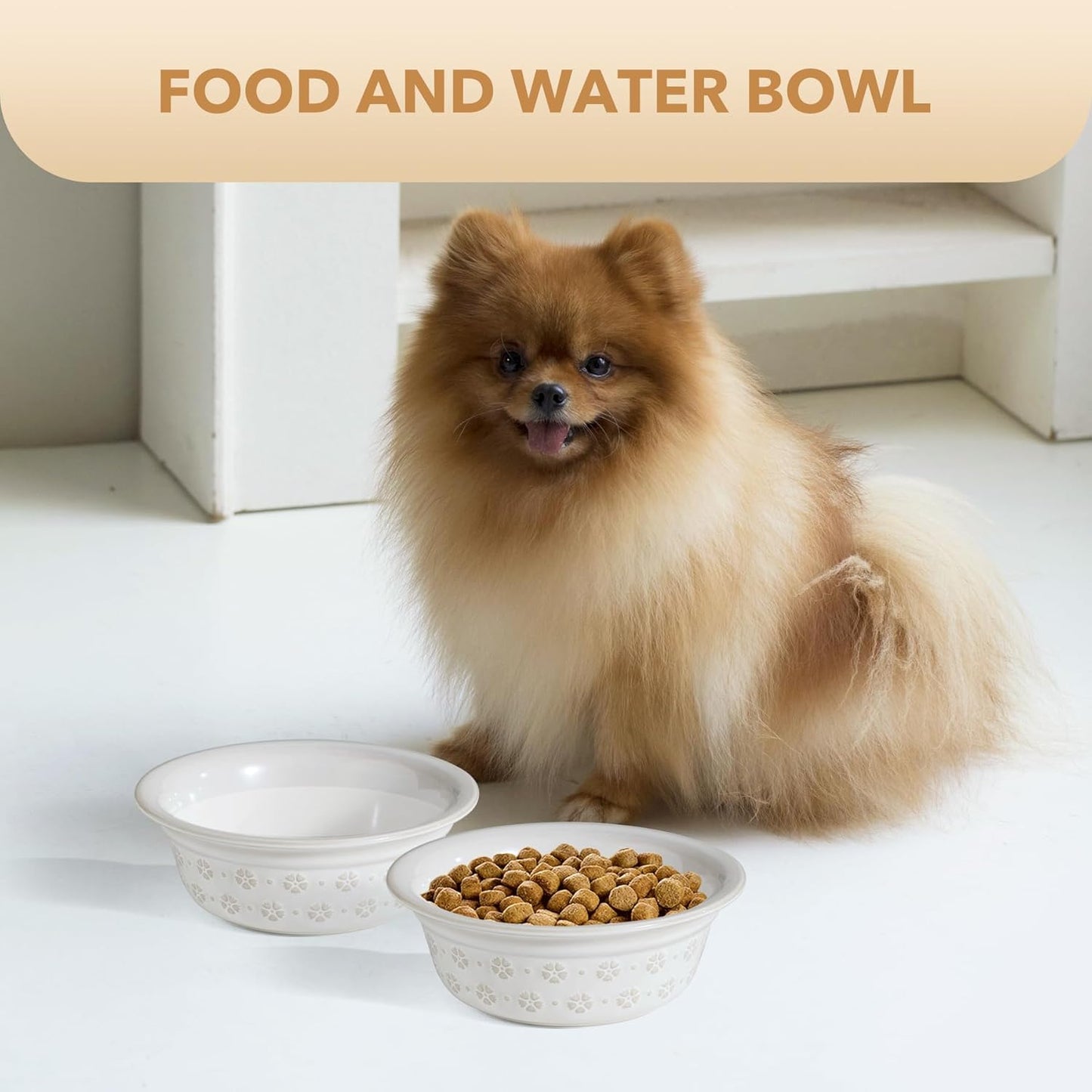 6.3inch Ceramic Set of 2 Dog Bowls, Food and Water Bowls for Small and Medium Dog, 2pcs Basic Dog Bowl, Wide Opening Rounded Edge (2 Bowls, Reactived Glaze -White)
