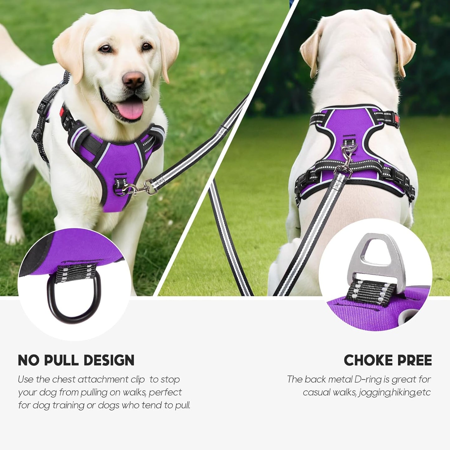 Timos Dog Harness Medium Sized, No Pull with Neck Lockable Snap,No Choke Front Clip Dog Reflective Harness,Adjustable Metal Rings 3 Buckles,Easy Control Handle for Medium Dogs Purple M