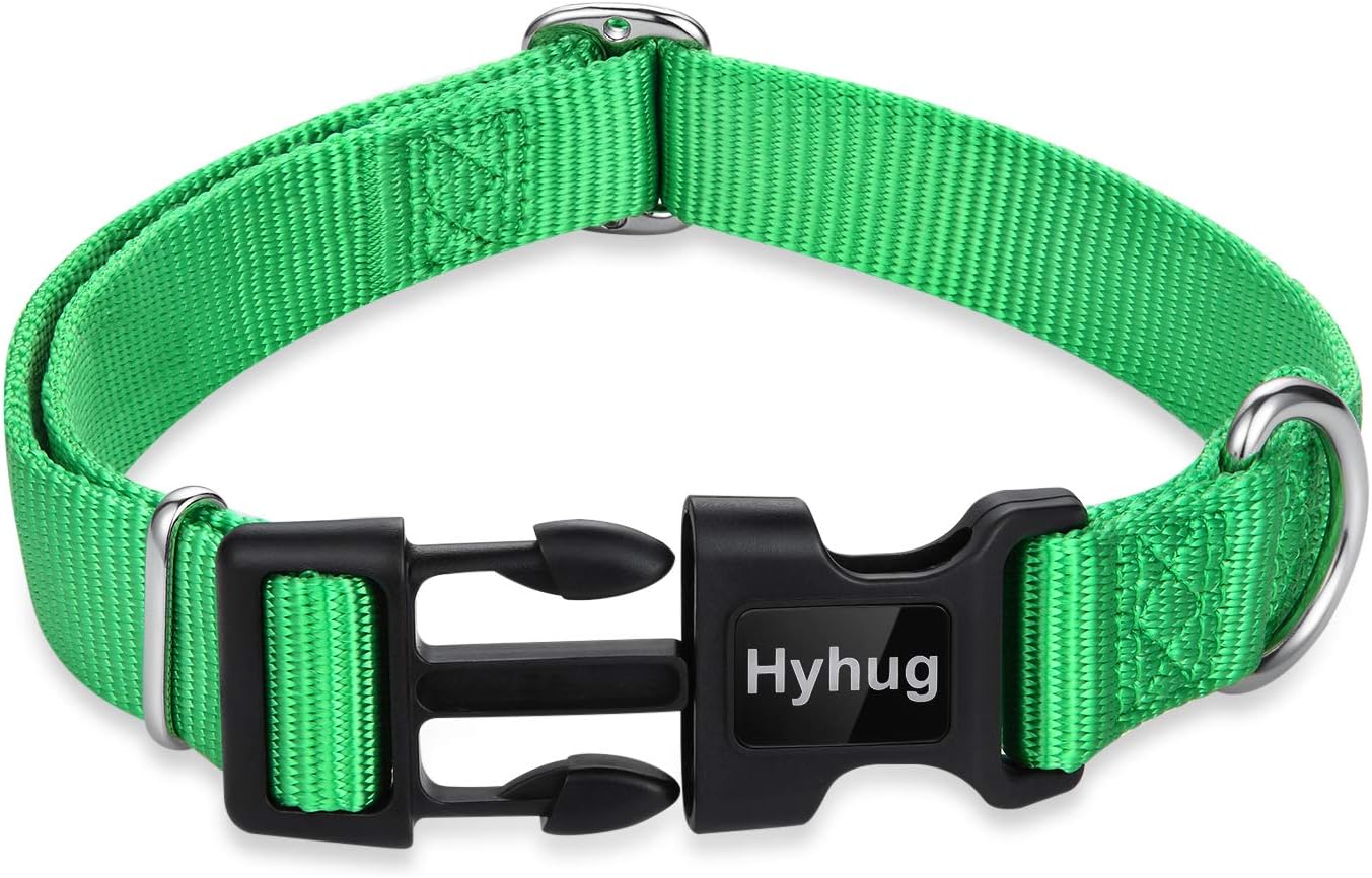 Hyhug Pets Classic Regular Heavy Duty Nylon Dog Collar (Small, Lime Green)