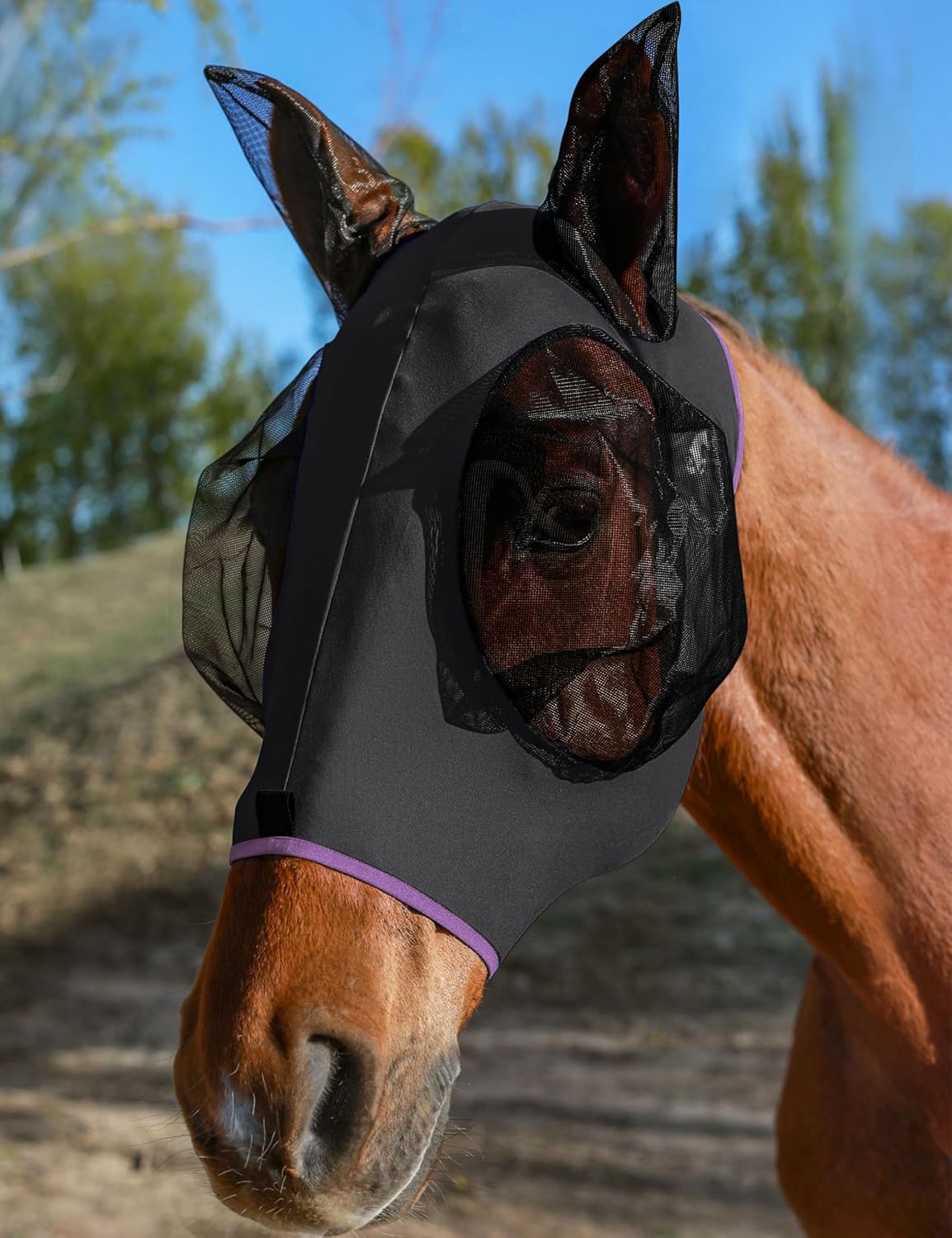 Horse Fly Mask with Ears, UV Protection for Horses, Elasticity with Big Mesh Eye Covers, Snug Fitting Comfortable Breathable Lightweight for Horses Black Cob