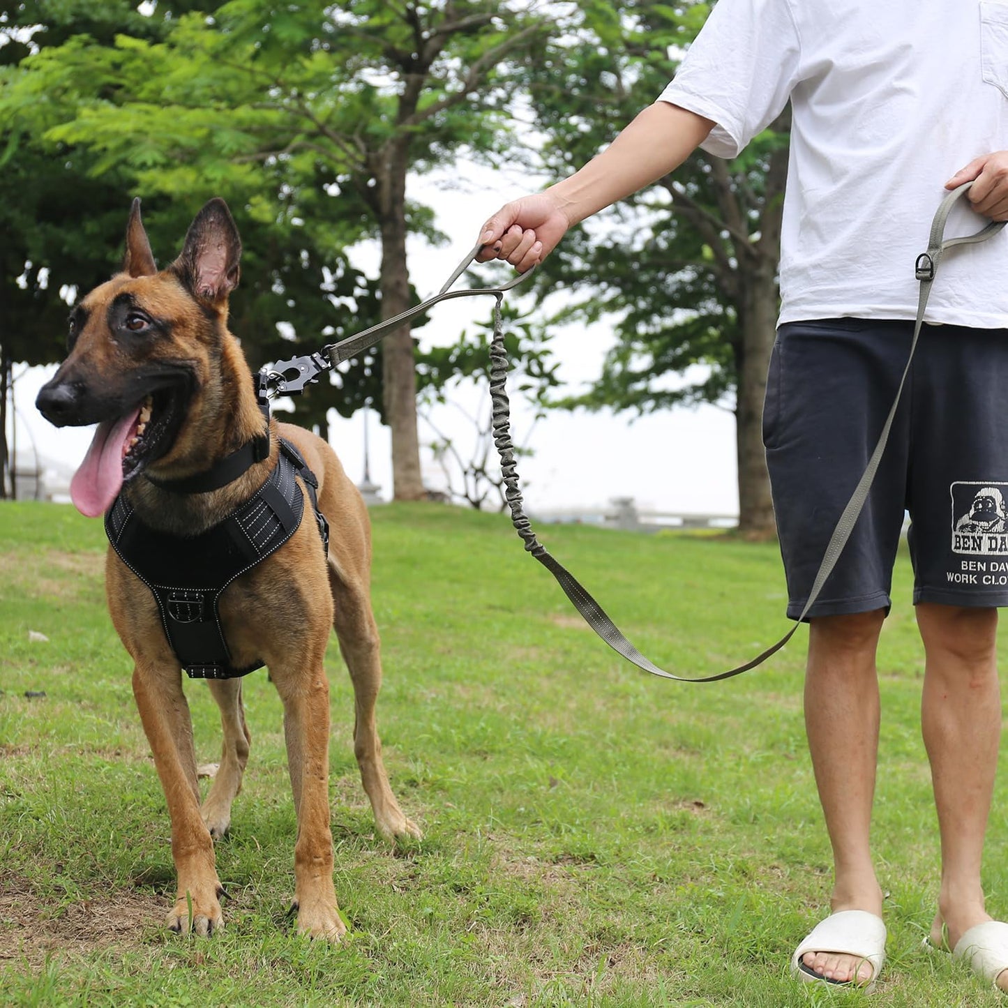 ICEFANG Tactical Dog Leash,K9 Training Walking Bungee Lead with 2 Control Handle,Heavy Duty Quick Release Metal Clasp,for Medium Large Breed (Reflective Green, 6 FT)