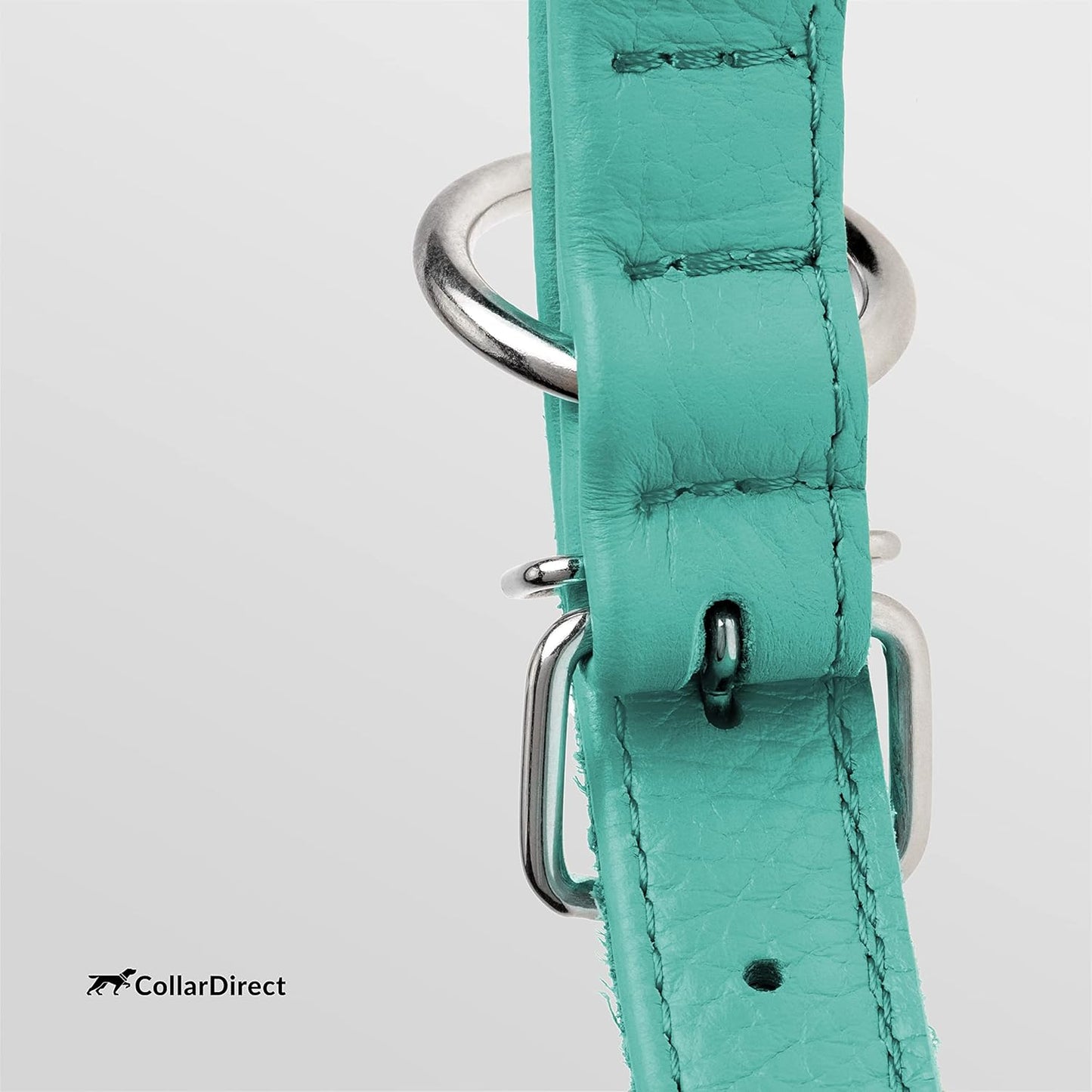 CollarDirect Rolled Leather Dog Collar, Soft Padded Round Puppy Collar, Handmade Genuine Leather Collar Dog Small Large Cat Collars 13 Colors (13-16 Inch, Mint Green Textured)