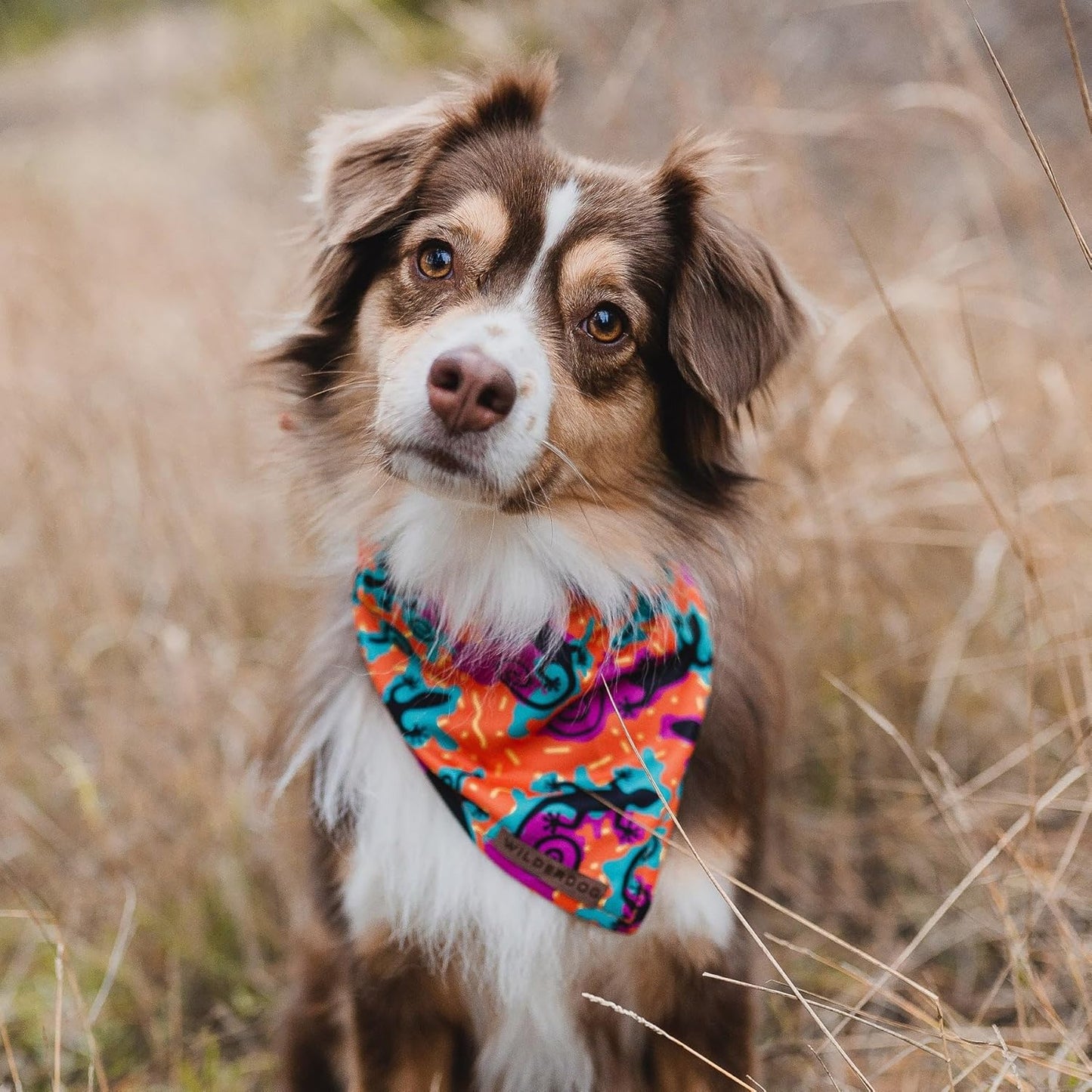 Wilderdog Dog Bandana with Lightweight Quick Drying Poly-Blend Mesh Material in The Lizards