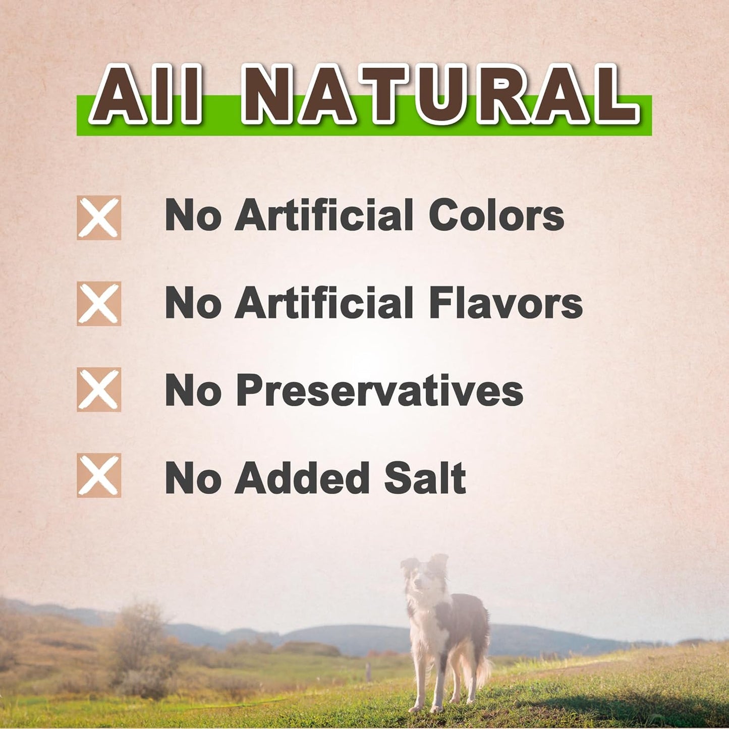 AFreschi Natural Chicken Chips 16 oz, Dog Treats, All Natural, Grain-Free, High-Protein, Low Fat, Healthy & Easily Digestible