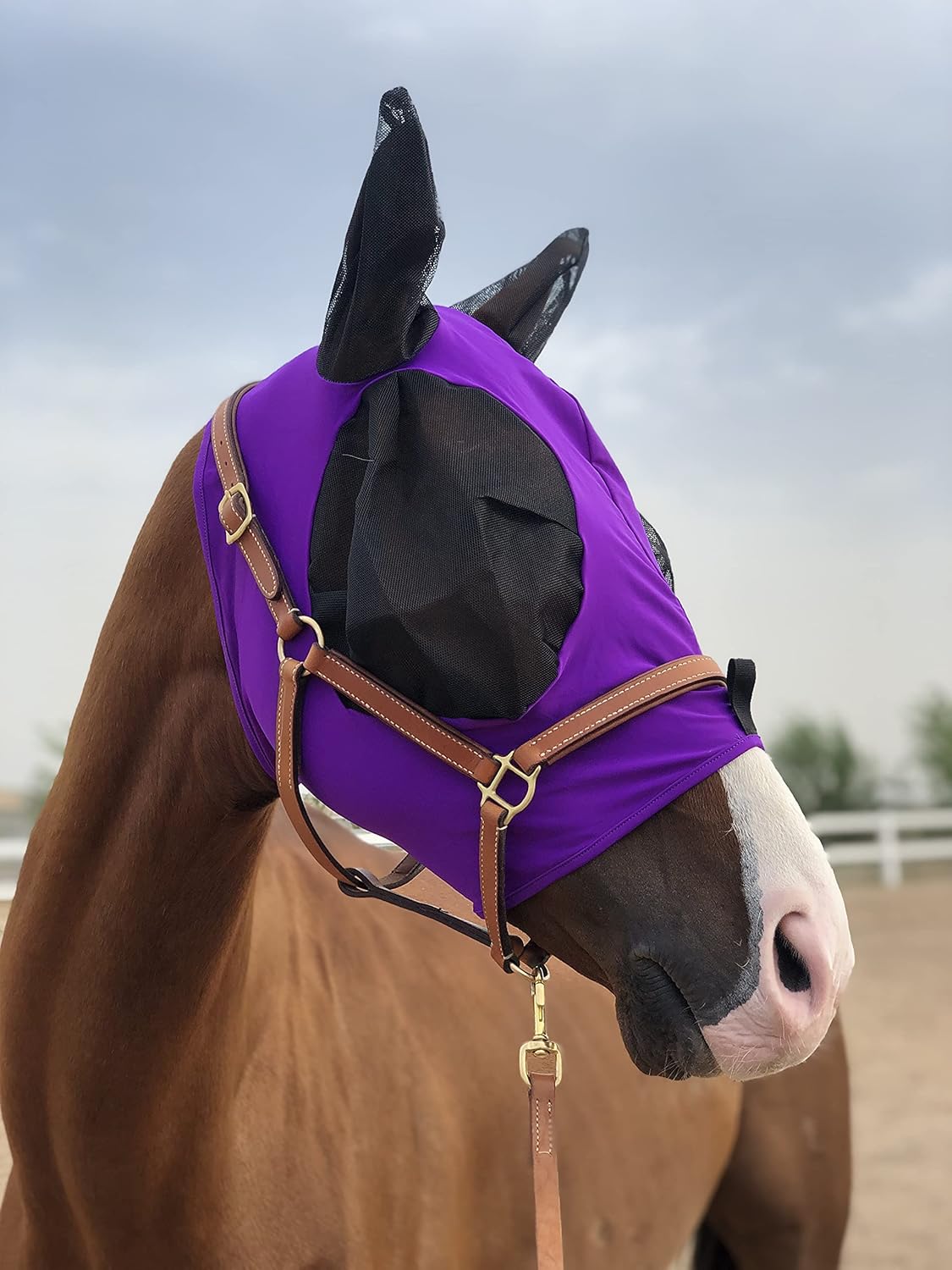 Horse Fly Mask Super Comfort Horse Fly Mask Elasticity Fly Mask with Ears We Only Make Products That Horses Like… (Dk Purple, M)