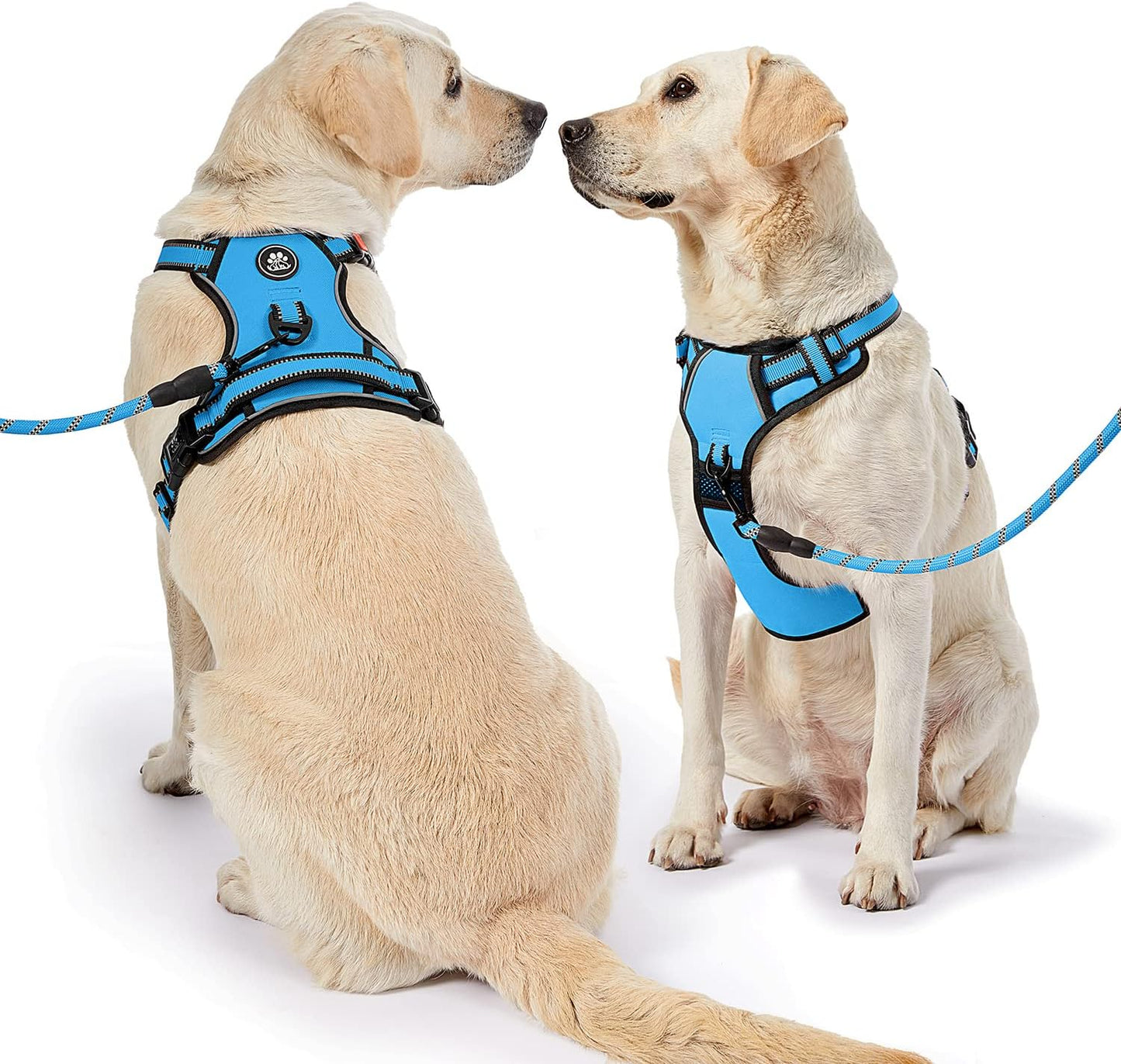 NESTROAD No Pull Dog Harness,Adjustable Oxford Dog Vest Harness with Leash,Reflective No-Choke Pet Harness with Easy Control Soft Handle for Small Dogs(X-Small,Blue)