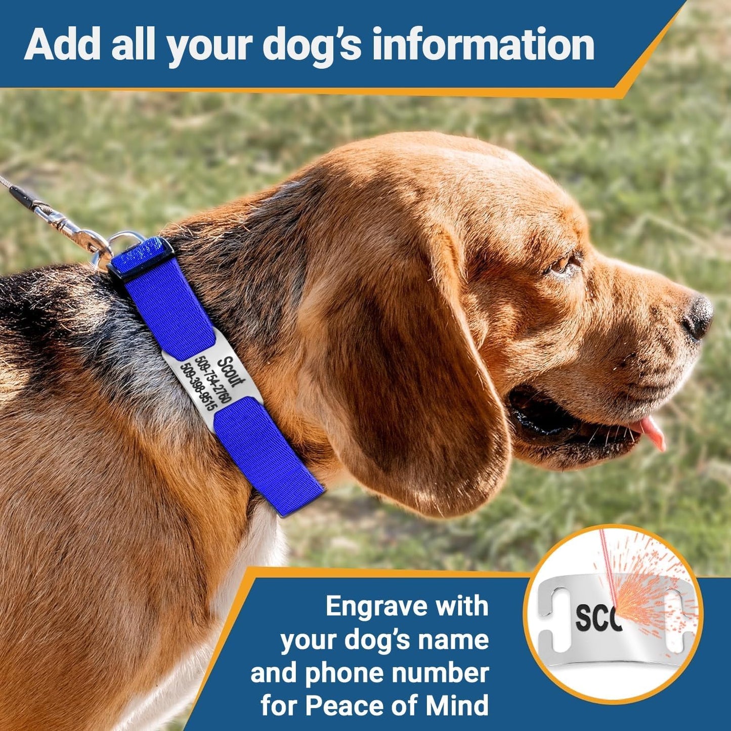 GoTags Personalized Dog Collar with Nameplate, Adjustable Dog Collar with Custom Engraved Slide On Pet ID Tag in Stainless Steel, Silent, No Noise Dog Tag (Light Gray, X-Small)