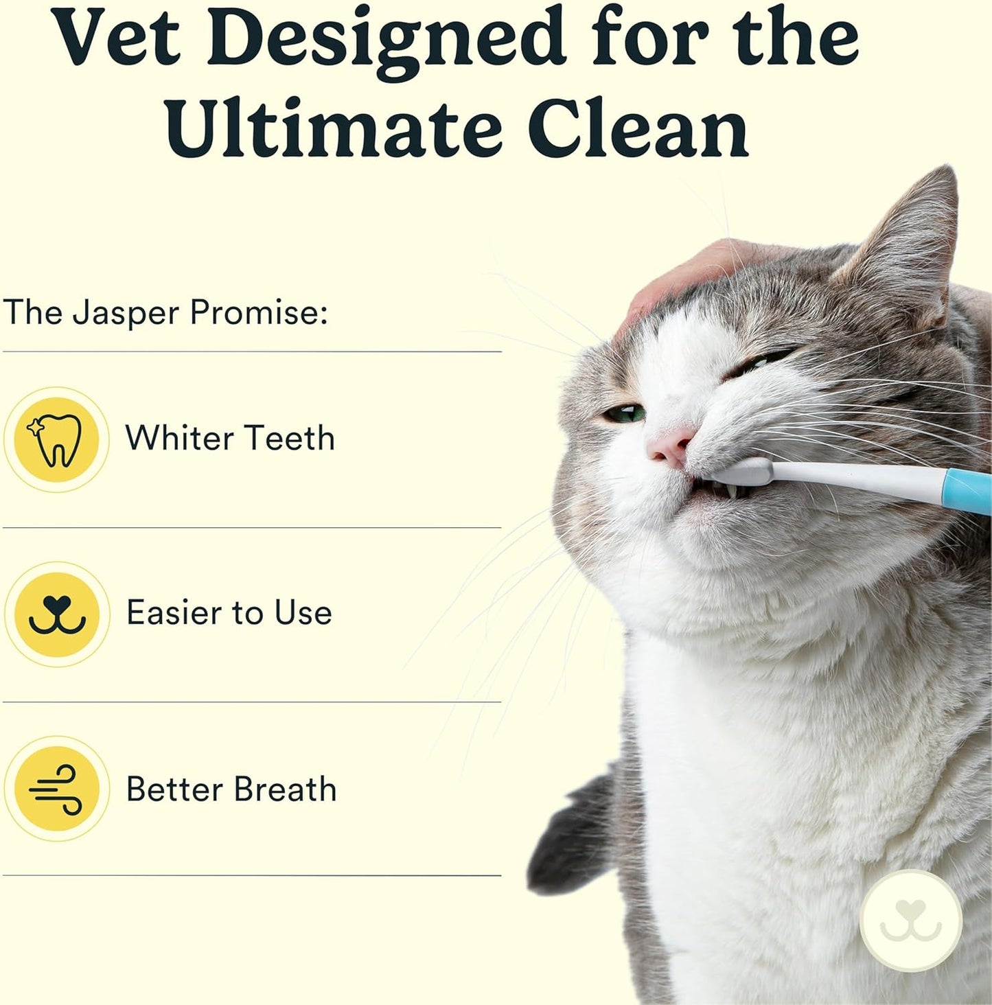 Jasper Microbrush Cat Toothbrush, Soft-Bristled Toothbrush Kit for Felines & Small Dogs, Premium Non-Slip Handle with 2 Replaceable Tooth Brush Heads, Use with Cat Toothpaste