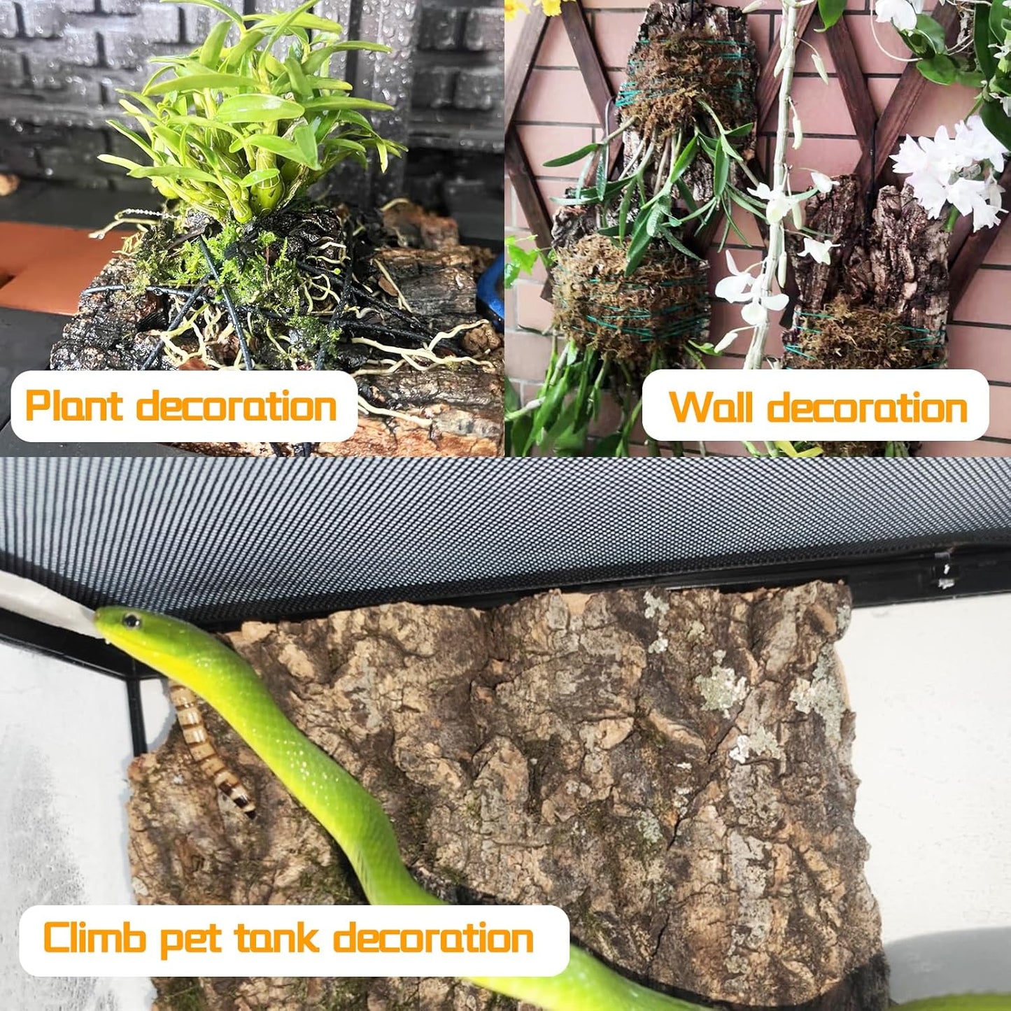 8PCS Cork Terrarium Background 15.7x11.8in Natural Large Cork Bark Backdrop Reptile Climbing Mat Tank Habitat Decor for Spider Lizard Chamelon Turtle Beared Dragon