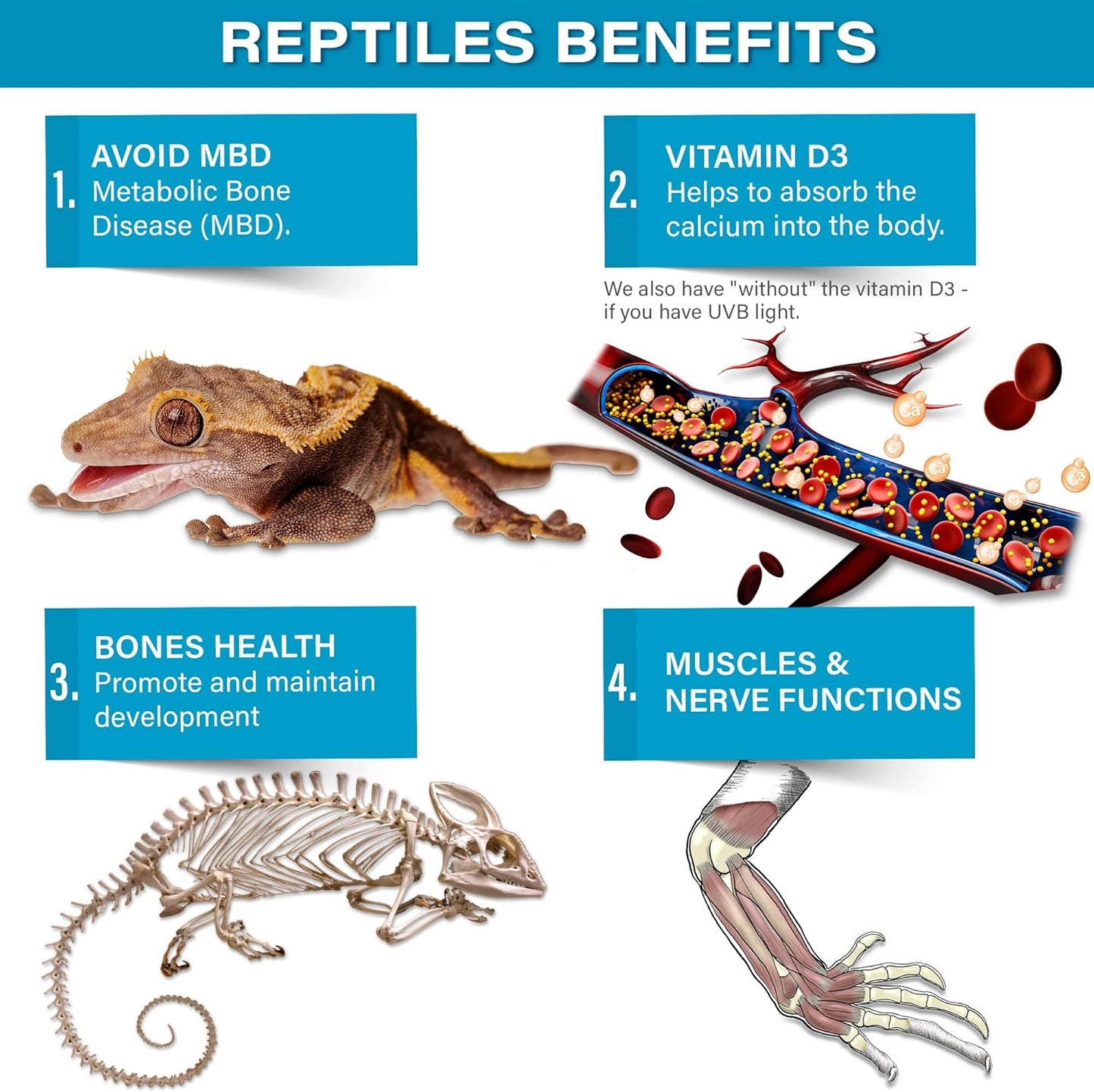 4oz All Reptile Calcium Powder, Phosphorus-Free Ultrafine Powder, Pure Dust Without Vitamin D3, Ready to Use for All Reptiles, Lizards & Amphibians Supplement. Made in The USA. Enjoy !