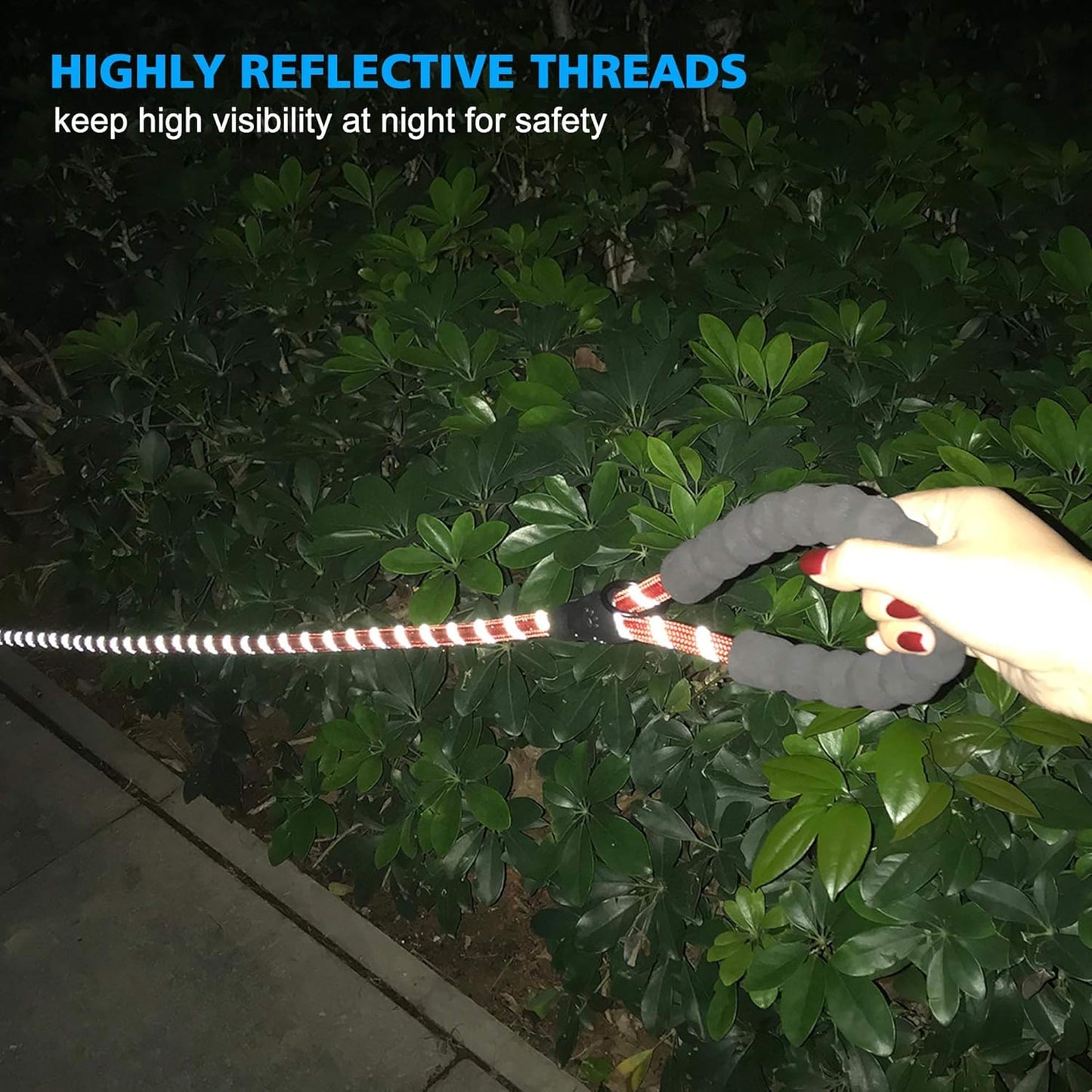 Heavy Duty Dog Leash - Comfortable Padded Handle, 5 ft Long - Dog Leashes for Small Medium Large Dogs (Leash+Collar M Neck 16"-20", Red)