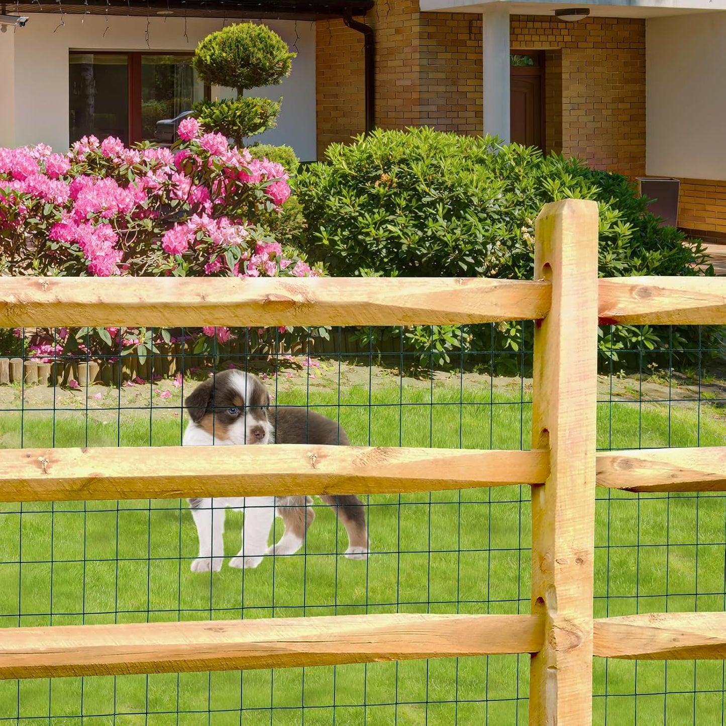 Green PVC Coated Welded Wire Fence 36 Inch x 25 Foot, 2 Inch x 3 Inch 16GA, Garden Border Fencing Roll Vinyl Coating Metal Wire Mesh for Yard Vegetable Plant Protection Poultry Netting