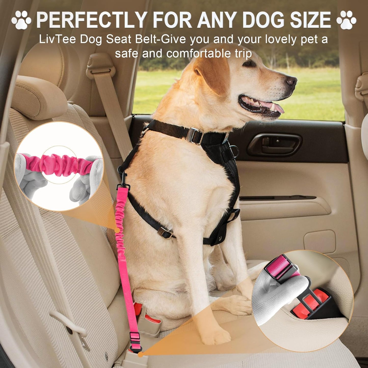 LivTee Dog Seat Belt for Car, Retractable Pet Safety Harness, Adjustable Nylon Dog Seatbelt Leash, Comfortable Dog Accessories for Vehicles (Pink-2PCS)
