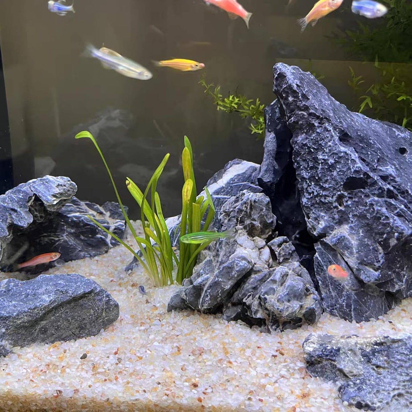 5 lbs Aquarium Silica Sand. 0.4-0.8 mm Mini Gravel Substrate for Fish Tank, Plants Potted, Fire Pits, Candle, Vase Filler and Crafts