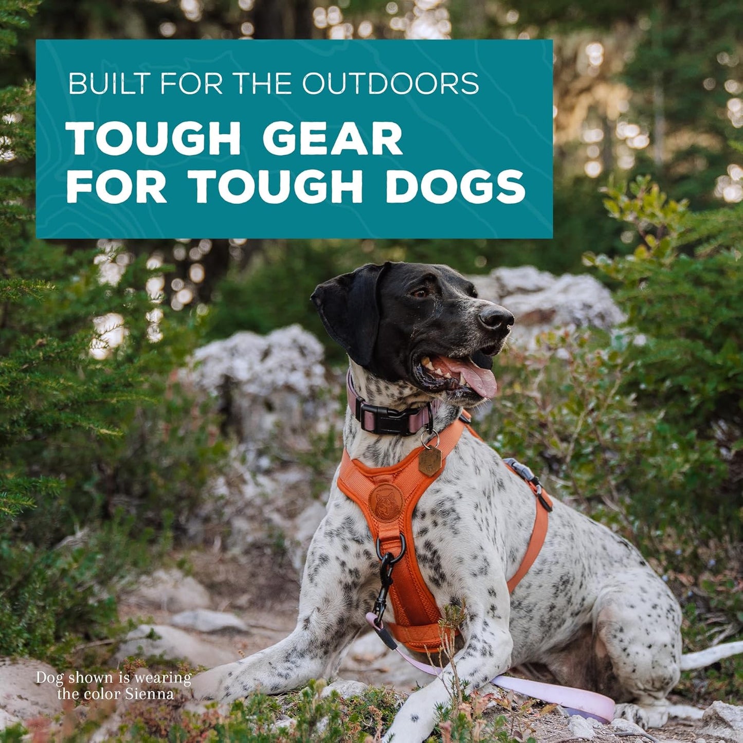 Wilderdog Lightweight Dog Harness with Reflective Straps - Medium - Sienna