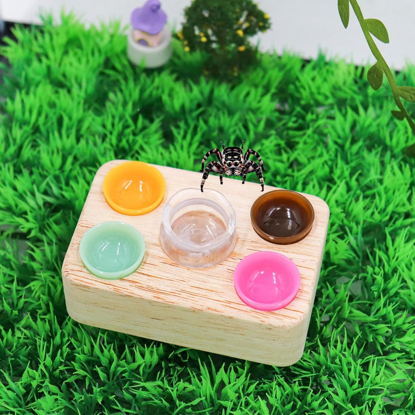 Jumping Spider Accessories, Plastic Feeding Bowl Set with Wooden Base for Food and Water, Mini Bowls, Jumping Spider Feeding Cups, Tarantula Enclosure Accessories