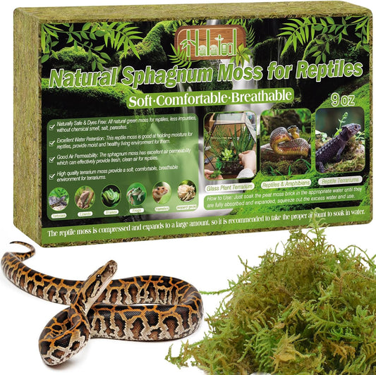 Halatool 9OZ Natural Sphagnum Moss for Reptiles- 14QT Green Live Moss for Terrarium Plants Long Fiber Reptile Moss for Leopard Gecko Snake Hamsters Tortoises Frogs Lizards Salamanders