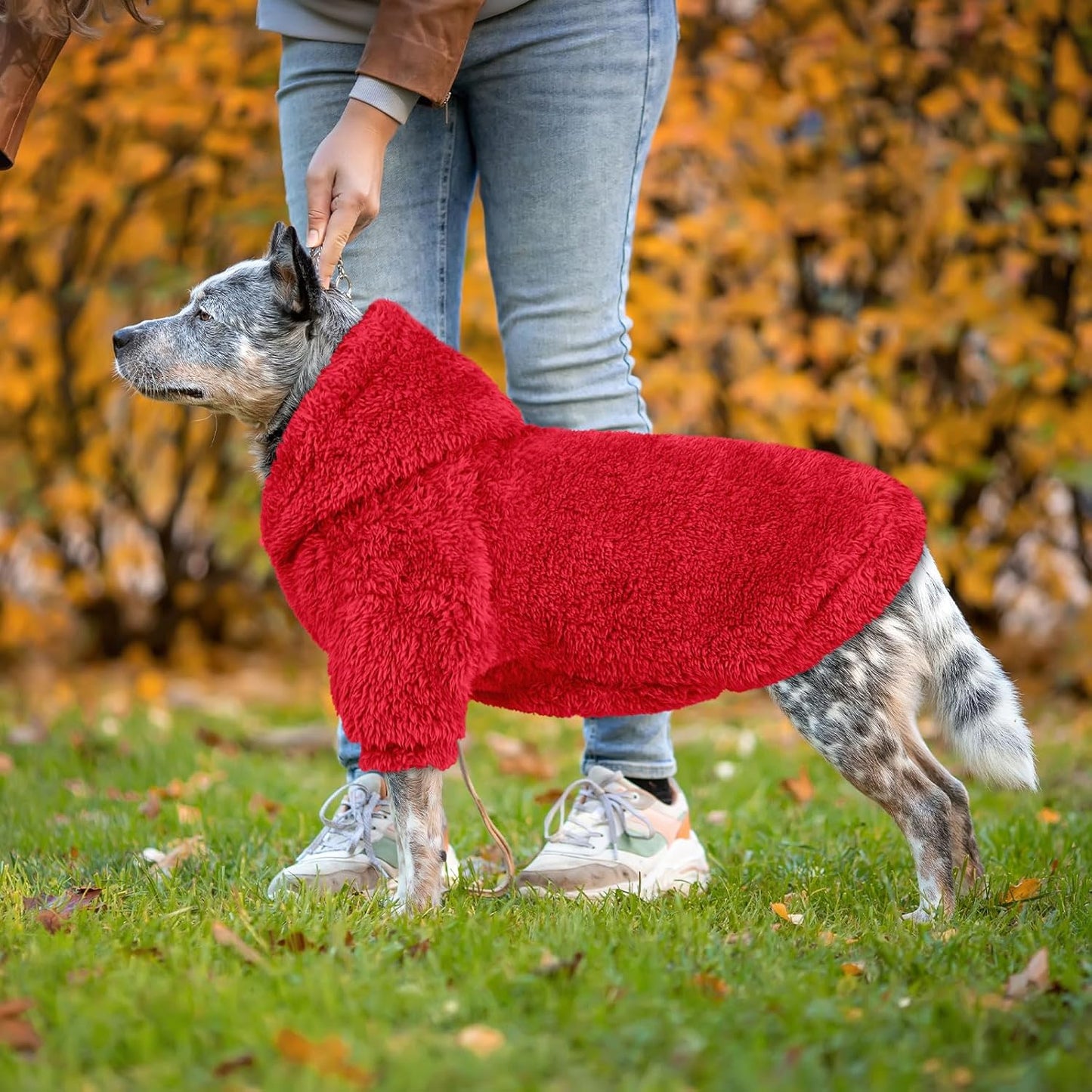 Fuzzy Dog Sweaters for Large Dogs Dog Hoodie Soft Double-Sided Plush Fleece Pet Sweater Clothes Coats Pet Hoodie Sherpa Hooded Sweatshirt(Red-XL)