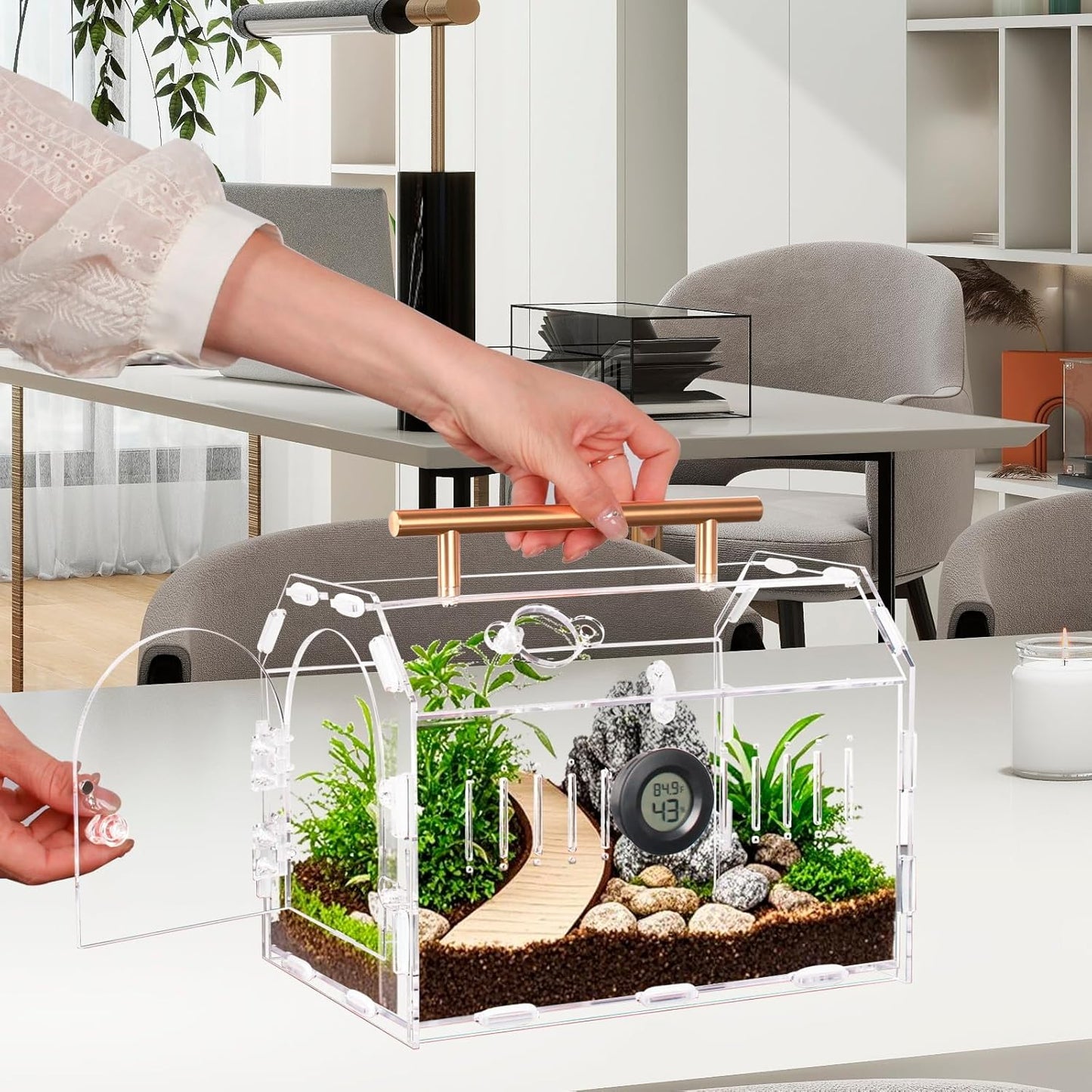 Acrylic Tarantula Enclosure – Escape-Proof Reptile Terrarium with Magnetic Lock, Front Opening for Easy Cleaning, Ideal for Jumping Spiders, Hermit Crabs & Small Pets