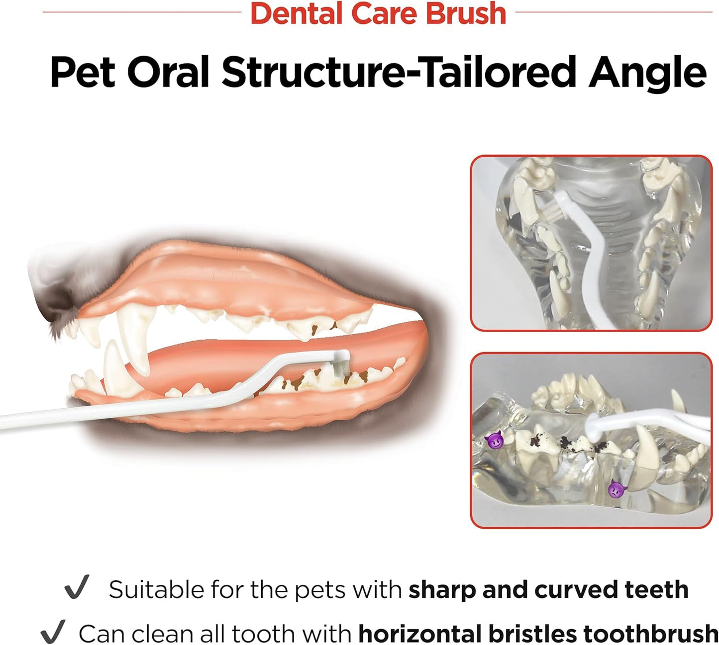 JAYU PET Dental Care Brush (Soft Bristles) 3ea - Dog Toothbrush, Cat Toothbrush, Dental Care for Kitten and Small Dogs, Removing Old Plaque and Tartar, Cat Teeth Brushing & Easy Cleaning