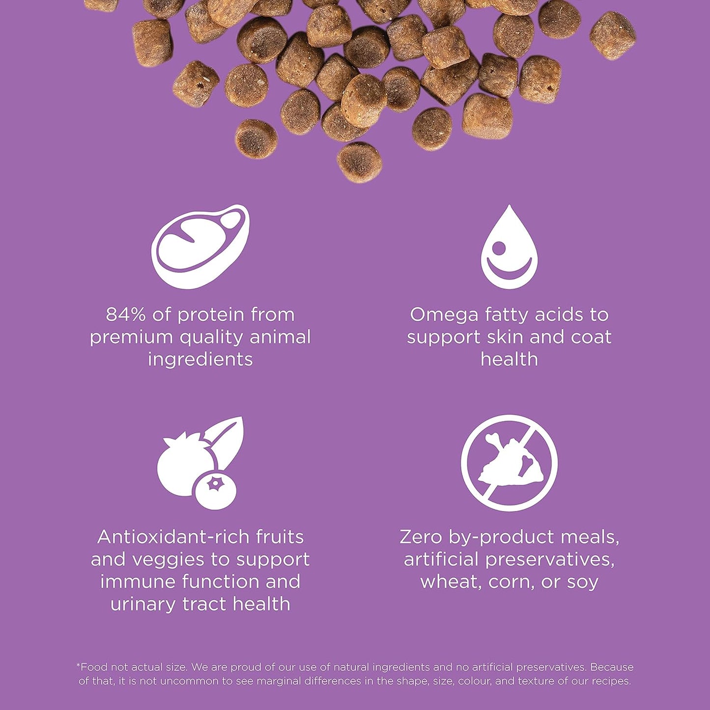 Go! Solutions Carnivore, Grain-Free, Protein Rich Dry Cat Food, Chicken, Turkey and Duck Recipe, 16 lb Bag