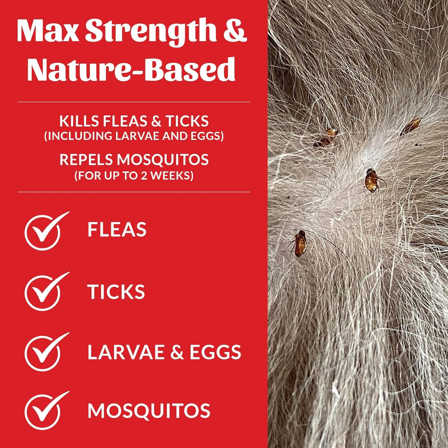 Skout's Honor Flea and Tick Shampoo for Dogs - Natural Peppermint & Cedarwood Formula, Helps to Protect from and Against Fleas, Ticks, and Mosquitos, 16 oz