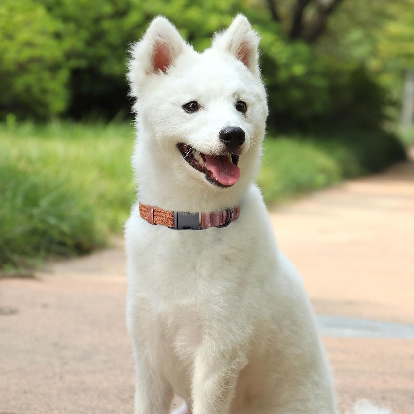 PET ARTIST Soft Cotton Dog Collars for Small Dogs in Rustic Brown, Simple Dog Collar with Quick Release Metal Buckle & D Ring, S Size (10-16")