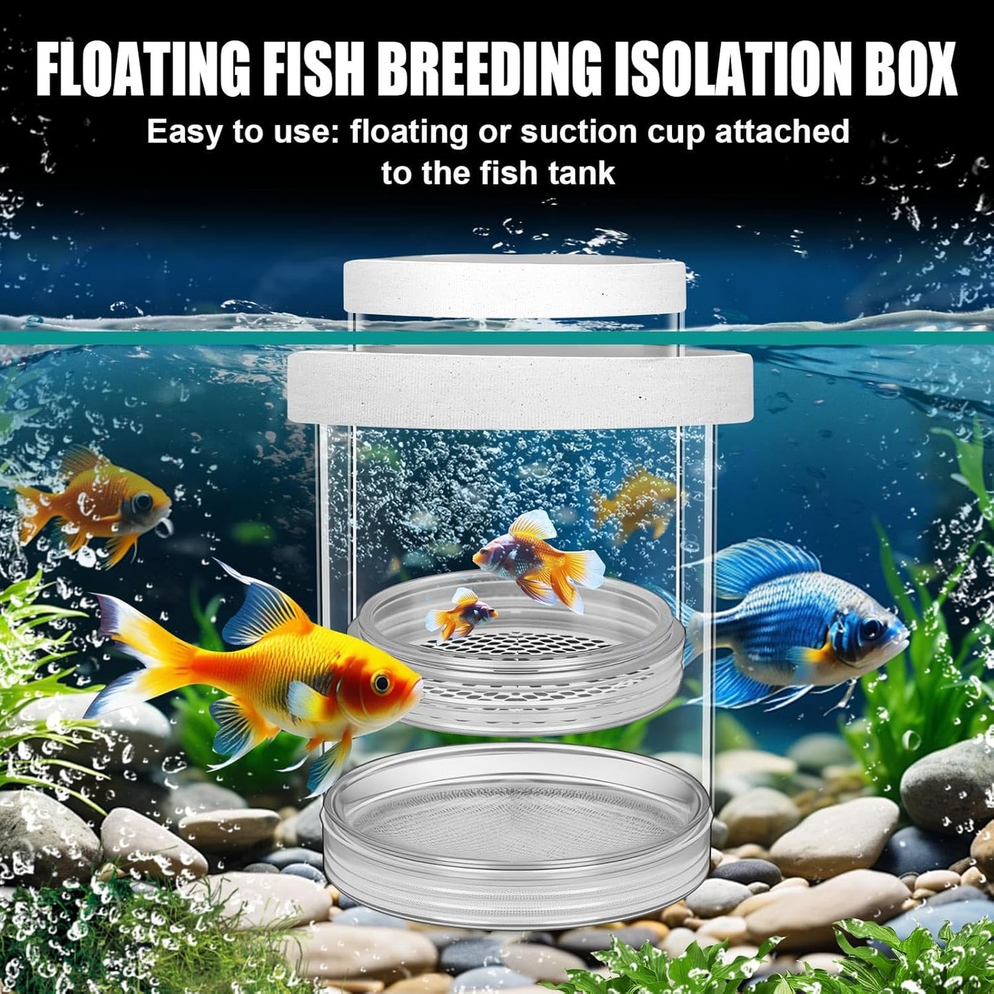 2 Pcs Breeder Box for Fish Tank Aquarium Breeder Separation Net Breeding Box with Suction Cup for Small Fish Shrimp Clownfish Guppy (White,L)