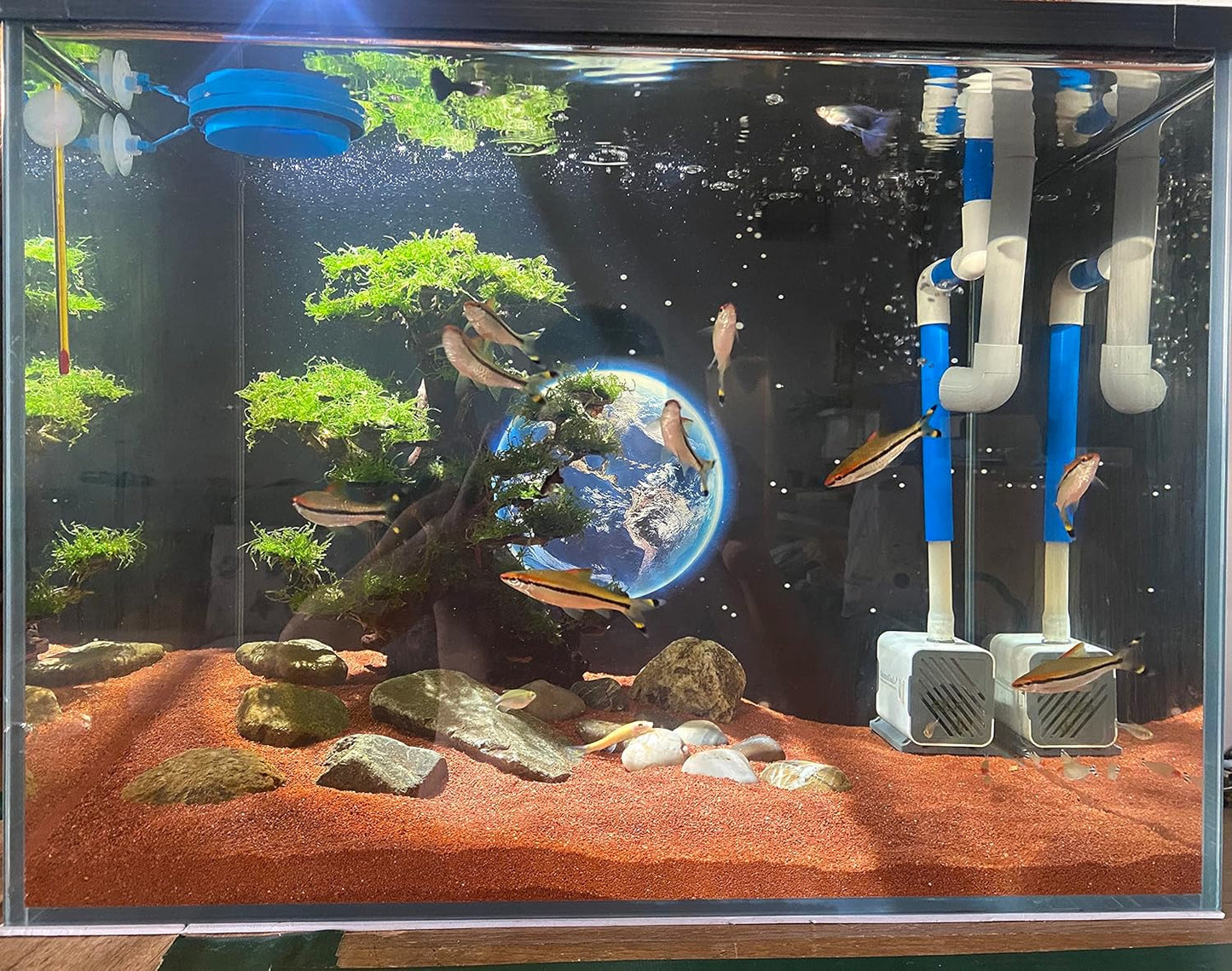 11lb Natural South American Rainforest Sand, Aquarium red Sand, Lava Rock Soil, Red Lava Rock Sand, Succulent Sand Fish Tank Sand Aquarium Substrate Sand