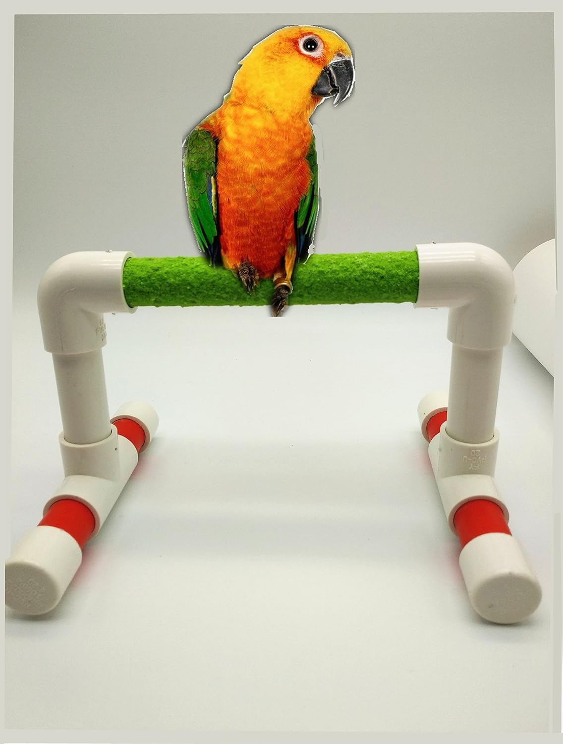 Hypeety Small Bird Parrot Stand Perch Table Top Stand Playground Grind Perch Swing Training Playstand Exercise Chew Toys for Budgies Parakeet Cockatiel Conure Finch (Perch, L)
