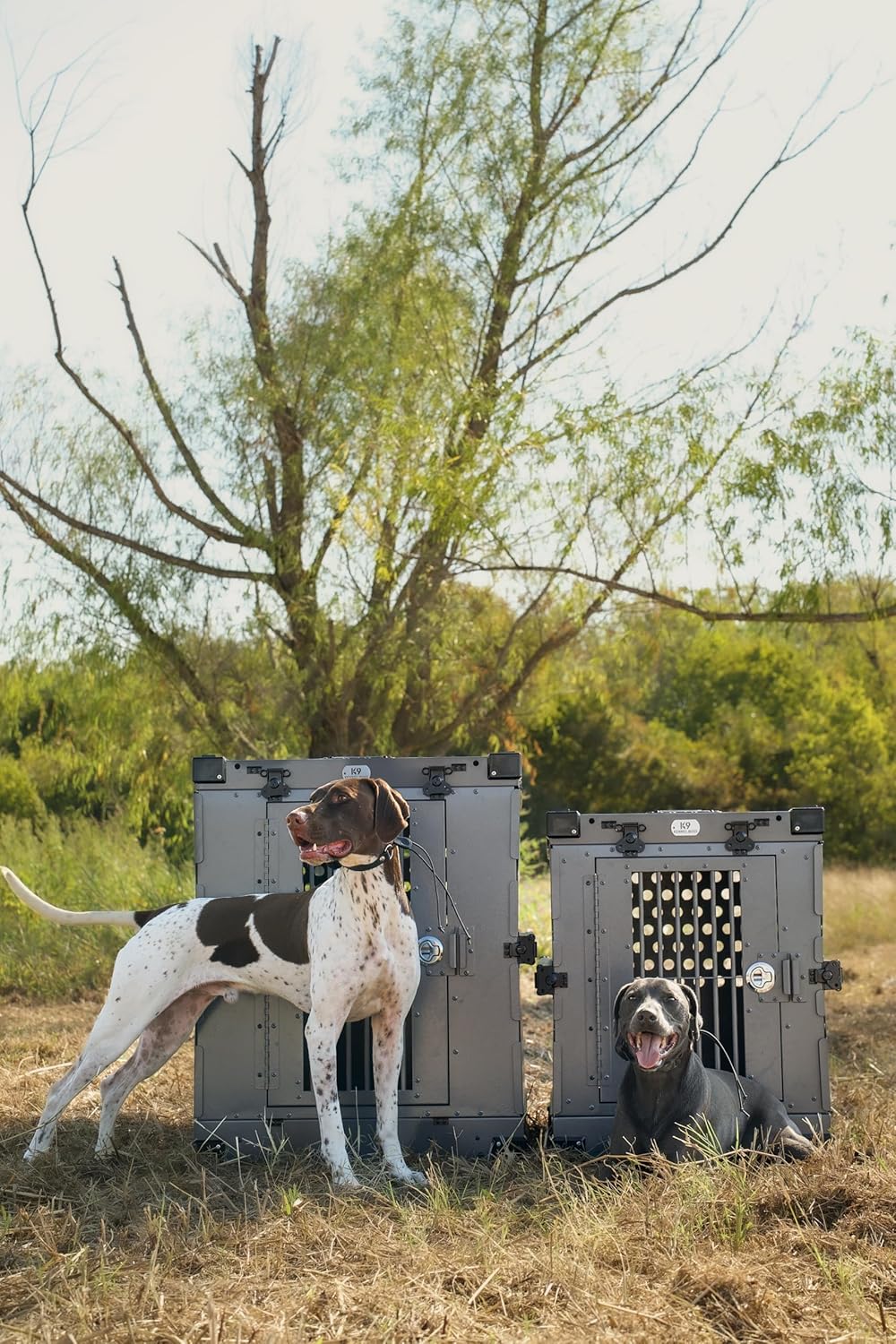 Heavy Duty Fully Collapsible Powder-Coated Aluminum Dog Crate - Medium (Gray)