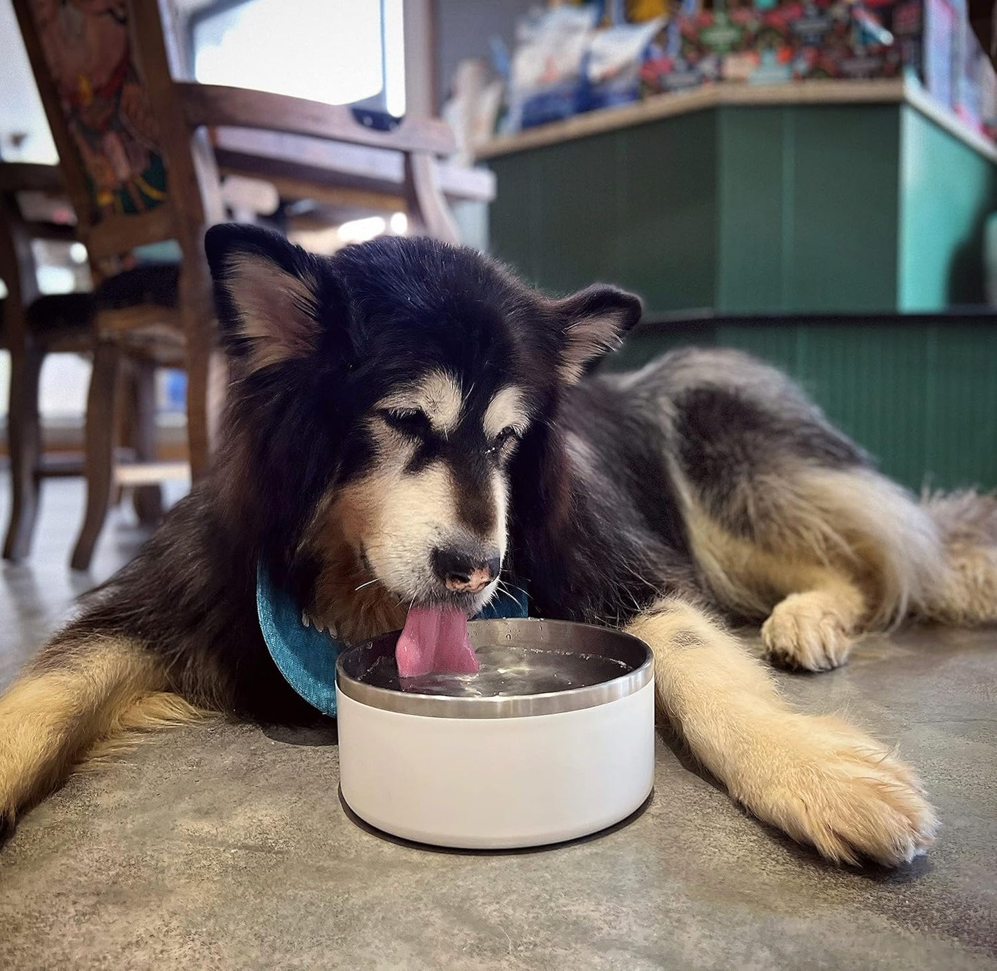 IKITCHEN Dog Bowl for Food and Water, 64 Oz Stainless Steel Pet Feeding Bowl, Durable Non-Skid Double Wall Insulated Heavy Duty with Rubber Bottom for Medium Large Dogs (64 Ounces/8 Cup, White)