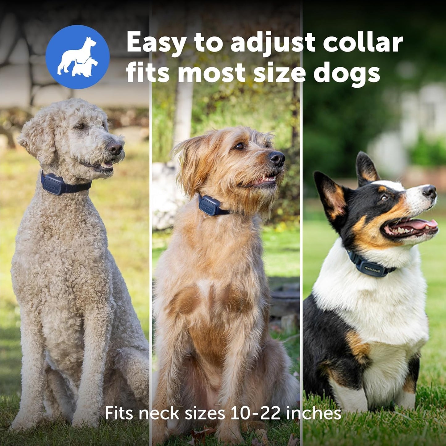 PetSafe Core Dog Trainer with Remote – Waterproof Training Collar – 1000 Foot Range – Tone, Vibration and 15 Levels of Static