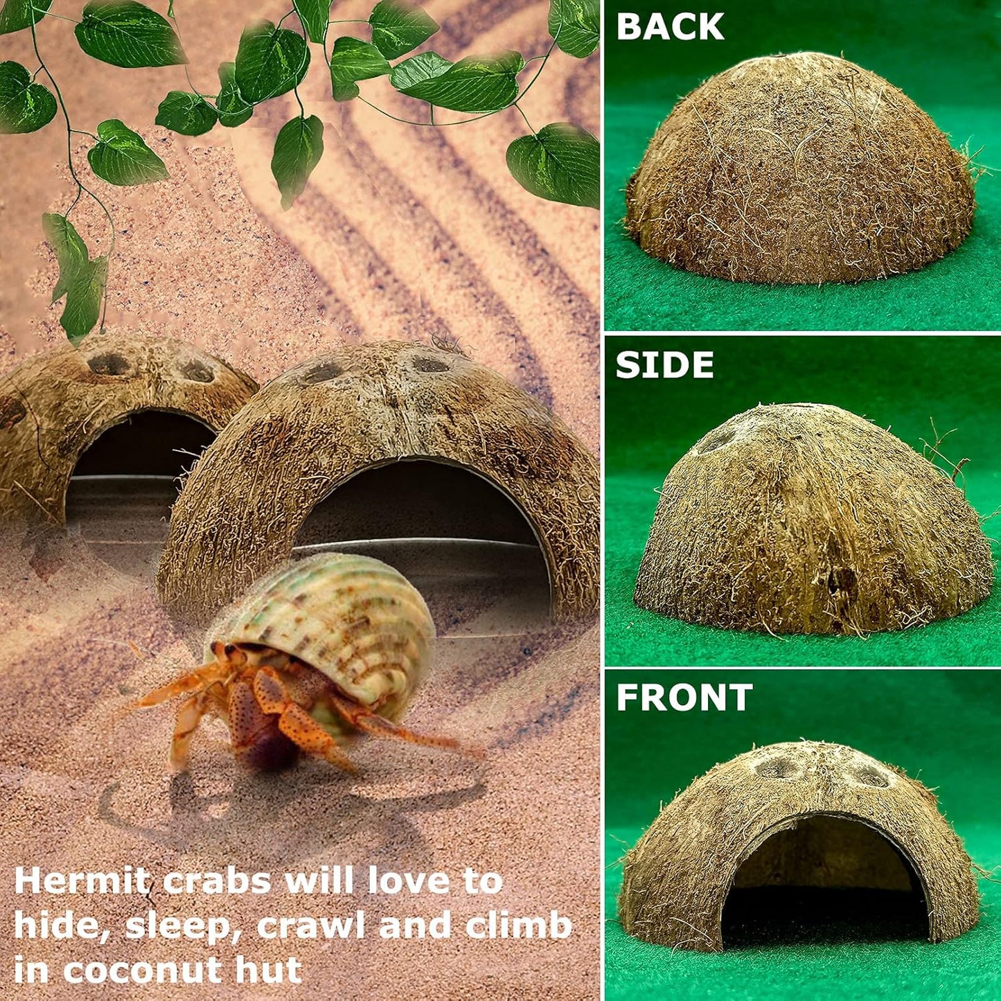 Hamiledyi Reptile Hideouts Natural Coconut Shells Hut Hermit Crab Climbing Toys Gecko Hide Cave Lizard Habitat Decor Plant Leaves Decoration for Spider Snake Chameleon (4Pcs)