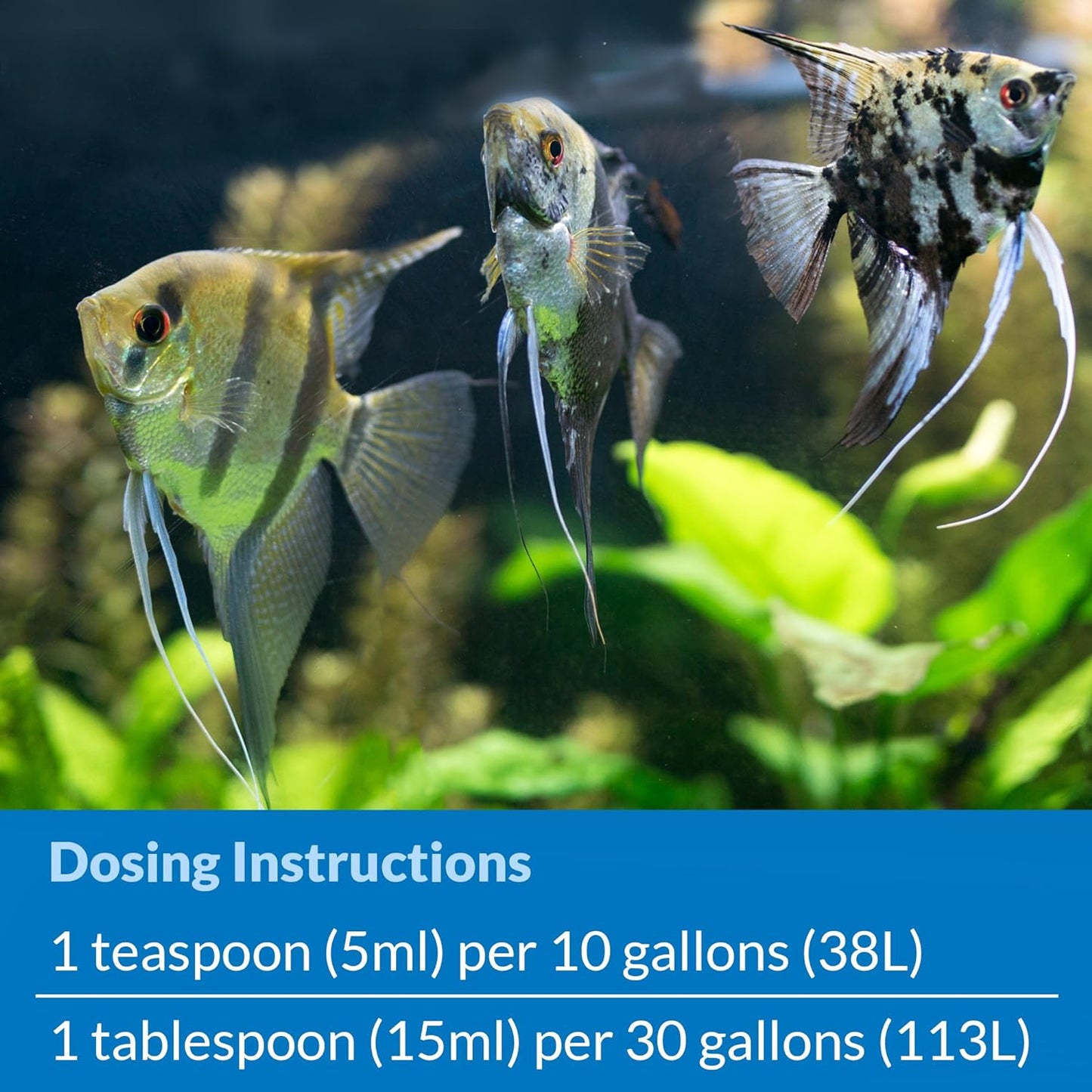 API Stress Zyme Freshwater and Saltwater Aquarium Cleaning Solution 1-Gallon Bottle